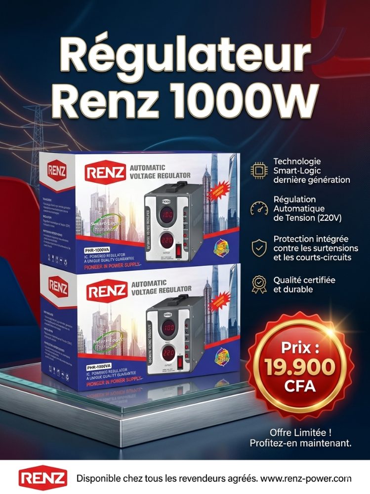 Régulateur Renz 1000W